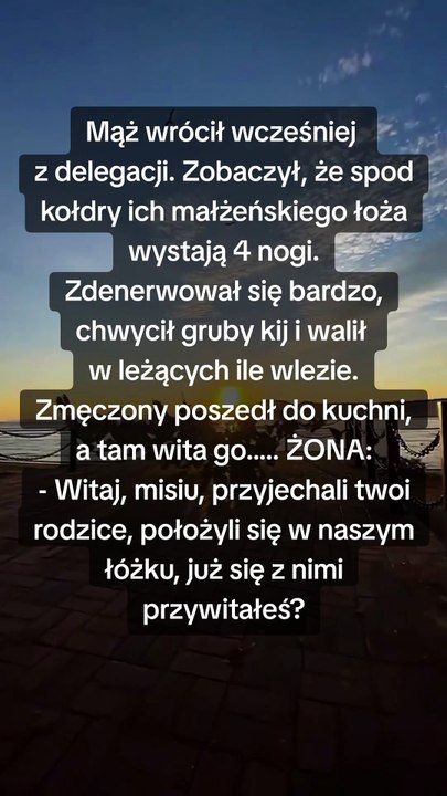 Odwiedziny