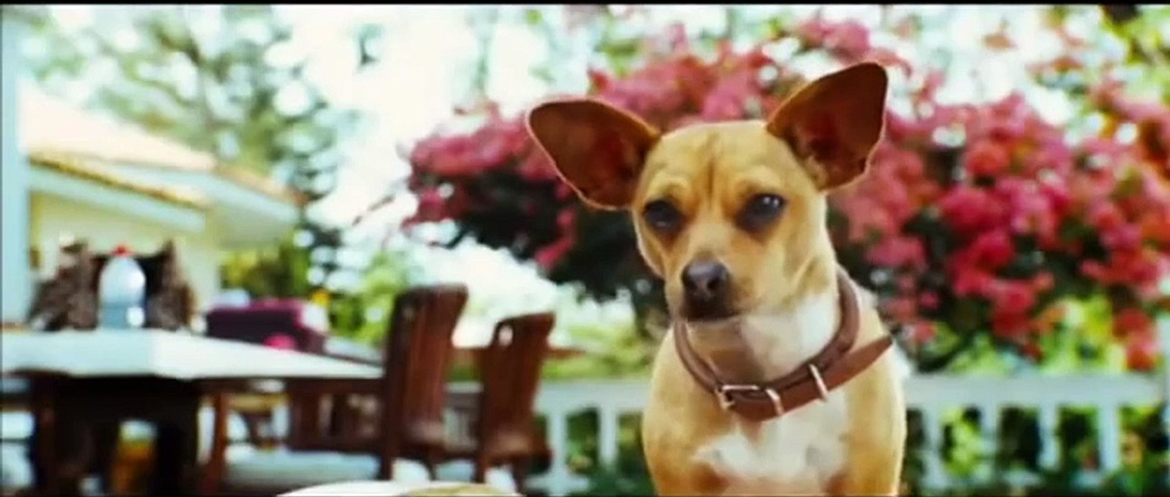 Le chihuahua de Beverly Hills (2008) - Bande annonce