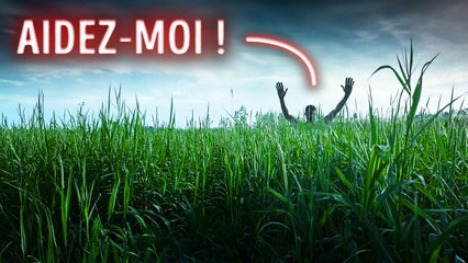 Un Homme S’est Volatilisé En Plein Jour - Que S’est-Il Passé Dans Ce Champ ?