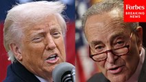 Chuck Schumer Lays Into Trump Over His ‘Disastrous Chaotic’ Tariffs: ‘It’s An Absolute Disgrace’