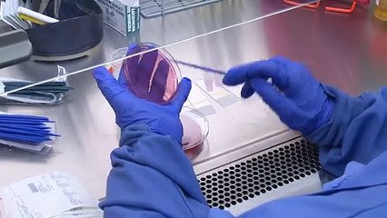 Laboratoire : des technologistes médicales à bout de souffle