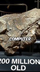 The Ancient Computer Chip Found in a 200-Million-Year-Old Rock