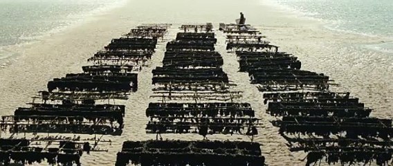 God's Creatures (2022) - Bande annonce