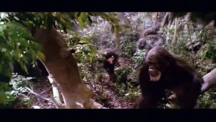 Greystoke, la légende de Tarzan (1984) - Bande annonce