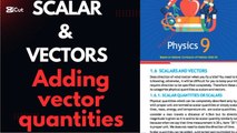 Scaler and vector quantities/addition of vectors/adding of vector quantities