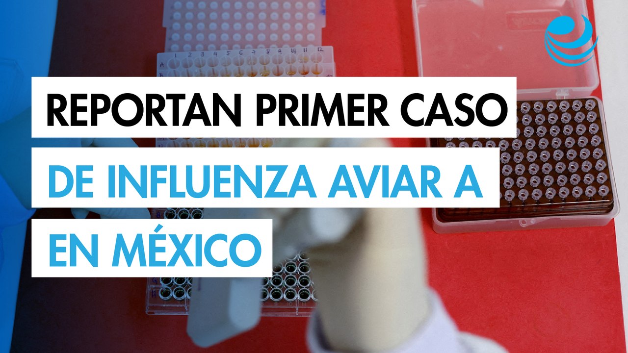 Secretaría de Salud confirma un primer caso de humano de influenza aviar A (H5N1) en México