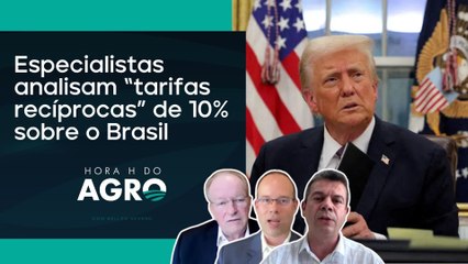 Como o “tarifaço” anunciado por Donald Trump impacta o Brasil? | HORA H DO AGRO