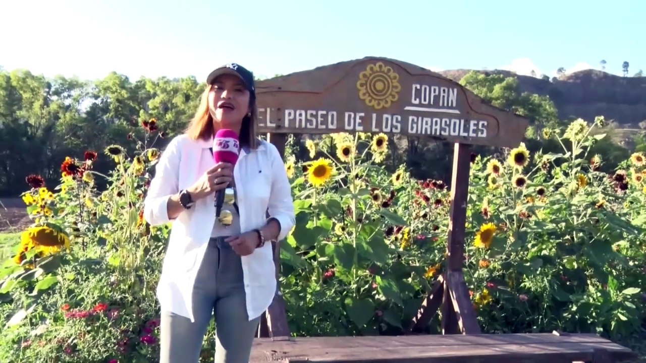 La Ruta TN5 explora Copán: Ruinas mayas, café de altura y pueblos llenos de magia