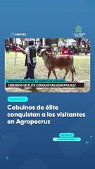 Cebuinos de élite conquistan a los visitantes en Agropecruz