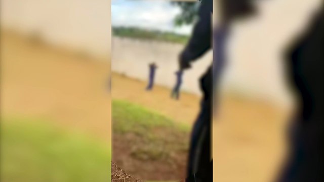Vídeo mostra briga entre alunas em Colégio Cívico-Militar em Cascavel