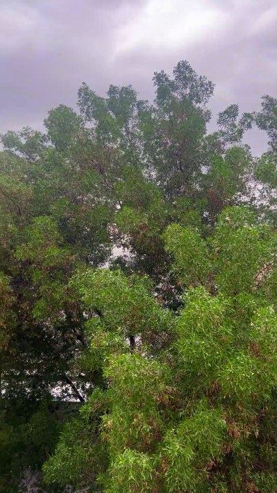 Weather #peace