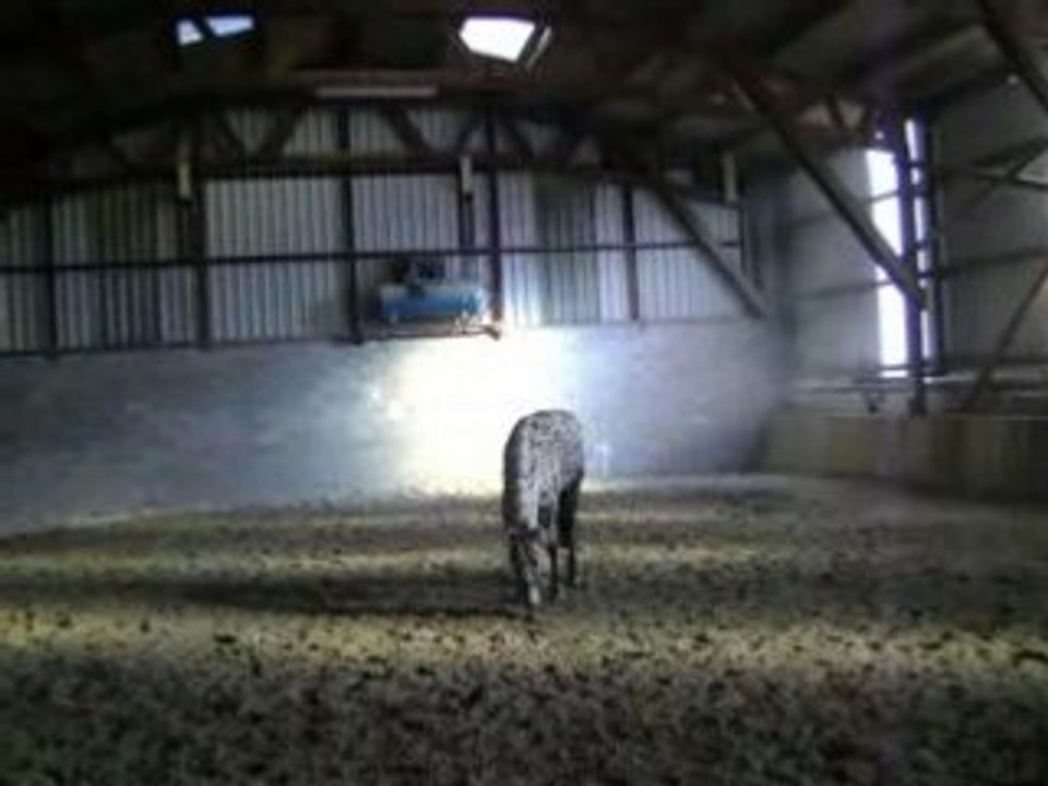 Ce soir sourir de cheval