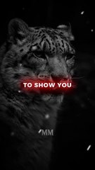 Never Put me  Motivation Quotes