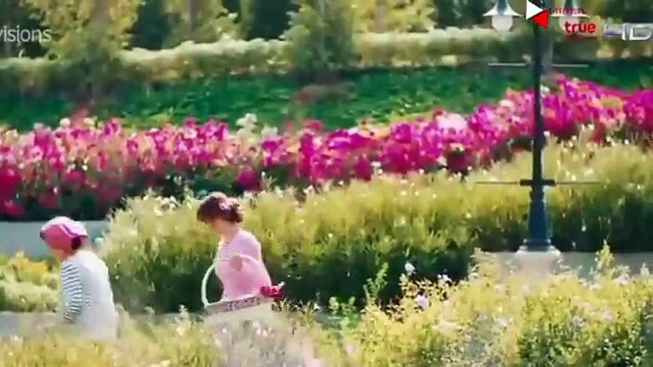 New Korean Mix Hindi Songs💗Chinesemix Love Story💗Cute Love Story💗 thakur g007