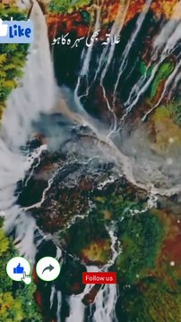 قرآن: وَمَا تَوْفِيقِي إِلَّا بِاللَّهِ اور میری کامیابی صرف اللہ کی مدد سے ہے۔ (سورۃ ہود 11:88) ❤️حدیث❤️ رسول اللہ ﷺ نے فرمایا: اگر تم اللہ پر بھروسہ کرو جیسے بھروسہ کرنے کا حق ہے، تو وہ تمہیں ایسے رزق دے گا جیسے پرندوں کو دیتا ہے، جو صبح خالی پیٹ ن