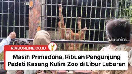 Masih Primadona, Ribuan Pengunjung Padati Kasang Kulim Zoo di Libur Lebaran