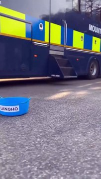 Lancs Police newest recruit Blossom the horse changes name with food buckets