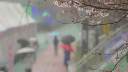 [날씨] 주말, 전국 '단비'...바람 불며 종일 쌀쌀한 날씨 / YTN