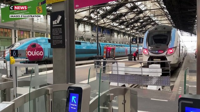 SNCF : Sud-Rail appelle les conducteurs à faire grève le 7 mai et les contrôleurs les 9, 10 et 11 mai