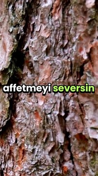 Her gün harika bir dua dinlemek ister misiniz? #islam #islamipaylaşımlar #kuran #hadis #kısmet #kesfet #keşfet #dua #dualar #amin #duadinle #etkilidualar #dualar #yemek #bereket #din #keşfetteyiz #dualardabuluşalım #kurândinle #zikirler #zikirdinlemek 2g