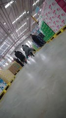 末日冰封姐妹们的求生大作战 ❄️