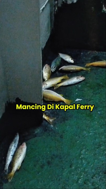 Mancing Mania