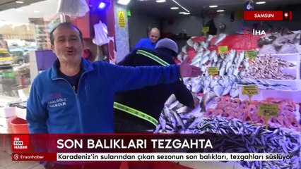 Karadeniz'de sezonun son balıkları tezgahlarda