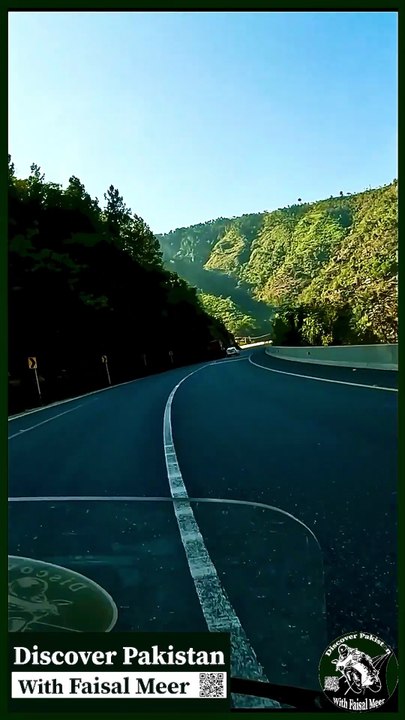 Subscribe Our YouTube Channel For Complete Videos https://www.youtube.com/@PakistanPigeonAssociation
