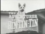 Rin Tin Tin (1954-59 serie TV) - Sigla