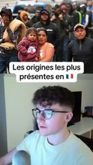 Les origines les plus présentes en France #france #origine