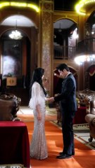 熱播爆款【青青子衿】（下集）王凱沐、黃浩雯、張紫菡精彩演繹🔥