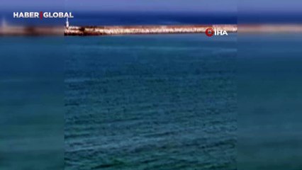 Kastamonu'da yunuslardan görsel şölen