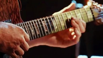 Calm in my Storm - Adrienne Norden