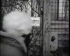 [ PIERWSZY POLSKI SERIAL ] Barbara i Jan  (1965) - odc. 7 - Traczykówna, Kobuszewski, Pawlikowski