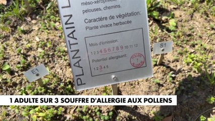 Marc Baudriller : «On mène une guérilla contre nos valeurs»
