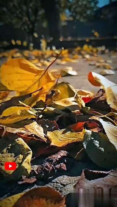 Life Lessons That Hit Different! 💯🔥|| Deen Daily