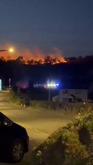 Fire Erupts at Staffordshire's Gentleshaw Common 🌳