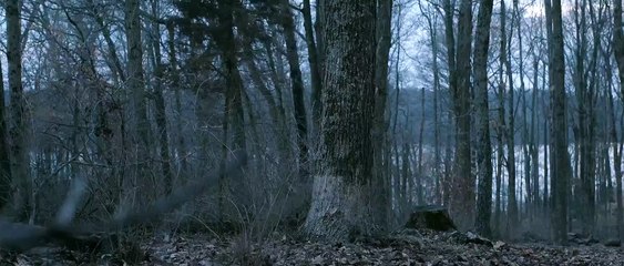 Doble Espionaje 2025: Acción y Suspenso en Belice ✈️