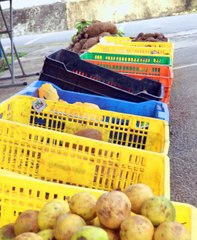No te quede esperando que el barco llegue hacia ti   nada hacia el