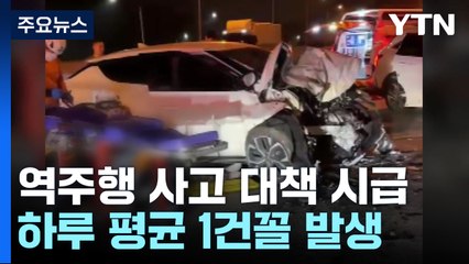 역주행 사고 하루 평균 1건꼴...사망률도 높아 대책 시급 / YTN