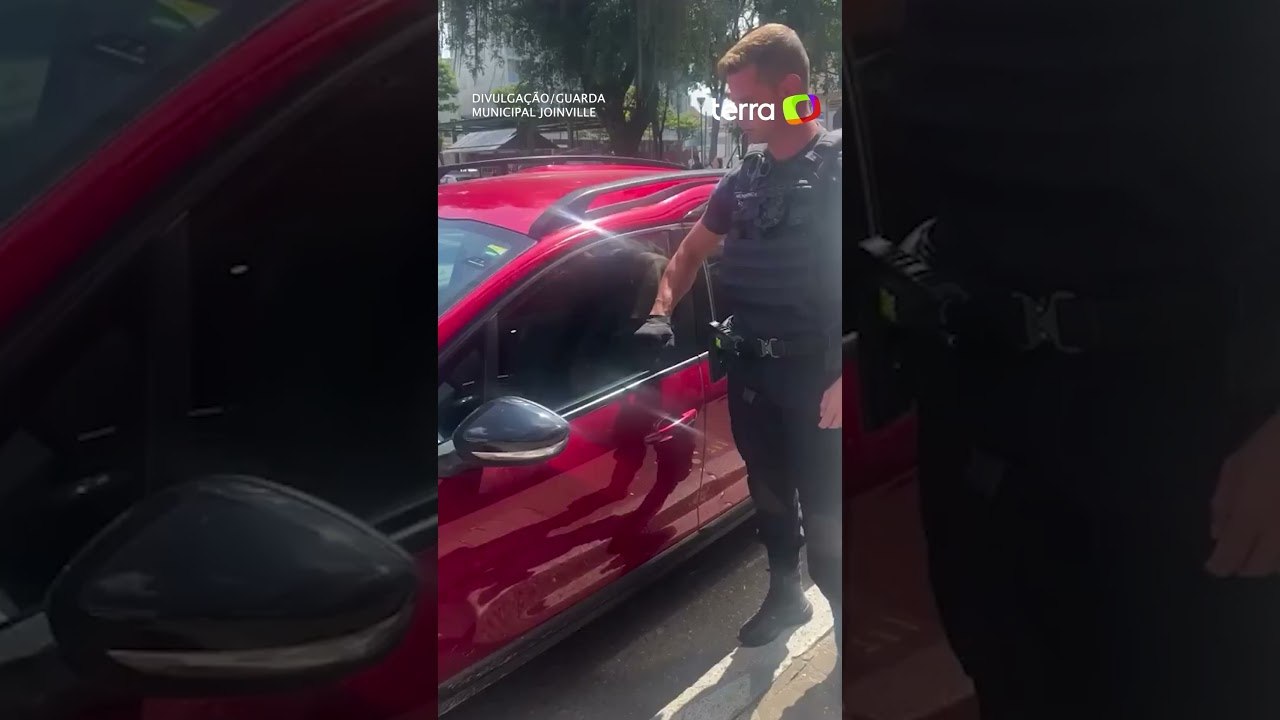 Com cotovelada, guarda municipal quebra vidro de carro para resgatar cachorro em SC #shorts