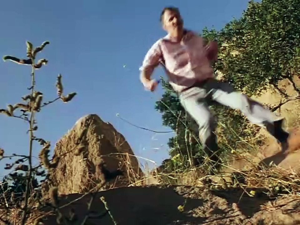 Purgatory II - die Heissen Katzen Von Zellblock 7