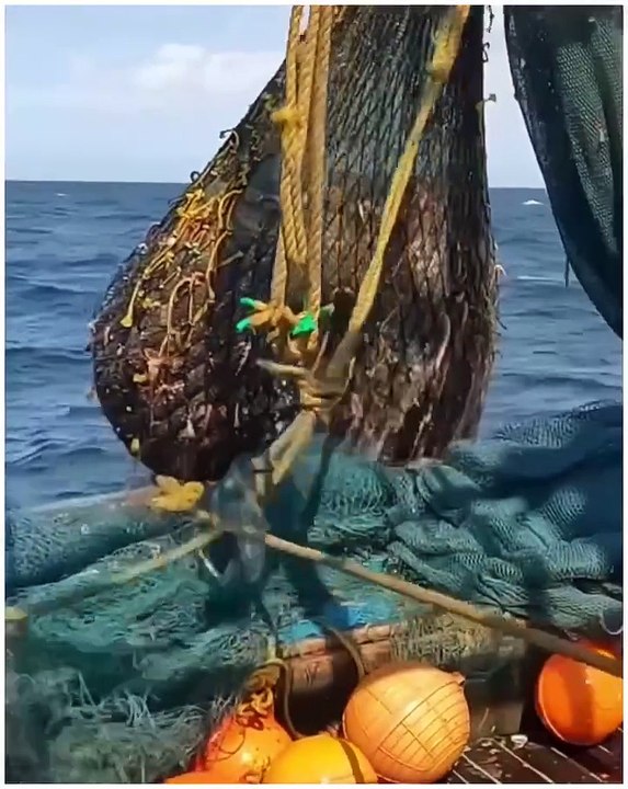 This is how Sea finishing works 😊