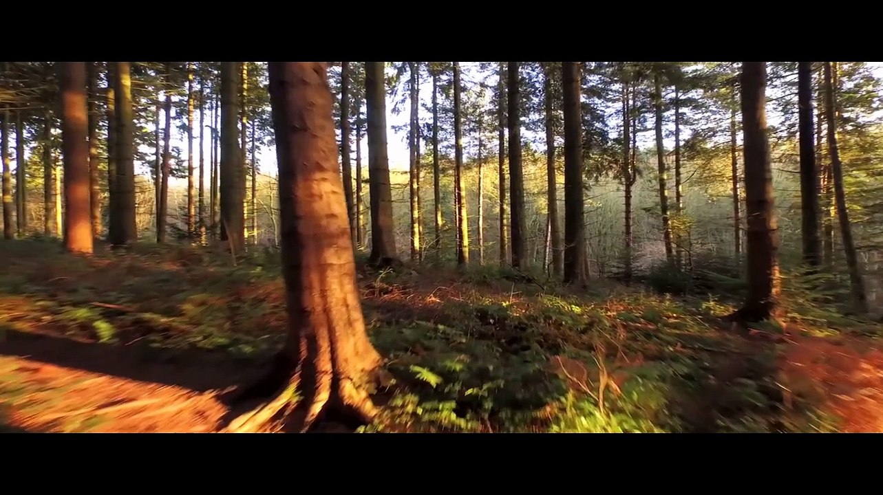 Timeless Symphony Angel Rada