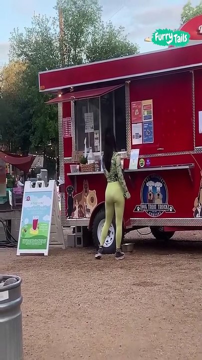 Lach dich schlapp mit Lustige Pfoten Ч. 51