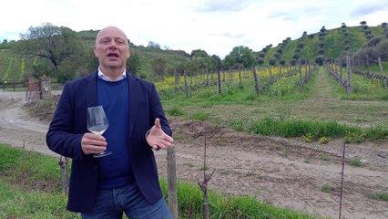 Raffaele Librandi: "I nostri vini? Sostenibilità contro i cambiamenti climatici"