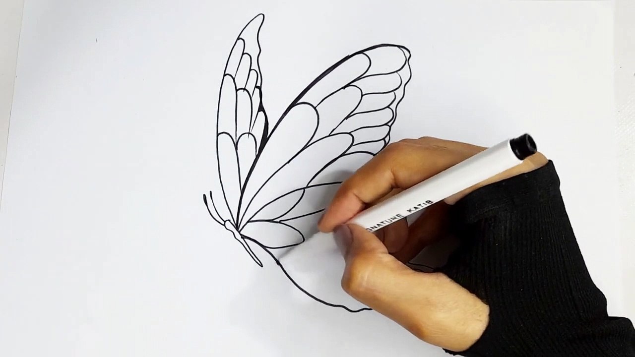 How to Draw a Beautiful Butterfly _ Easy Butterfly Drawing Tutorial for Beginners