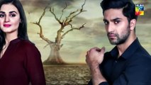 Yakeen Ka Safar - Episode 10 - [ HD ] - {  Sajal Ali - Ahad Raza Mir - Hira Mani } - HUM TV Drama