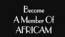 Africam_follies