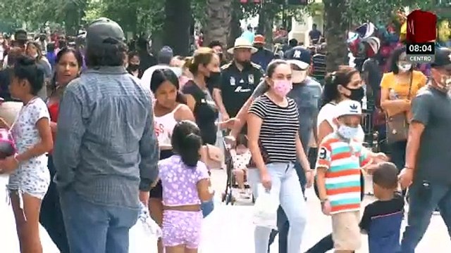 OMS alerta sobre 969 casos de gripe aviar H5N1 en humanos desde 2003